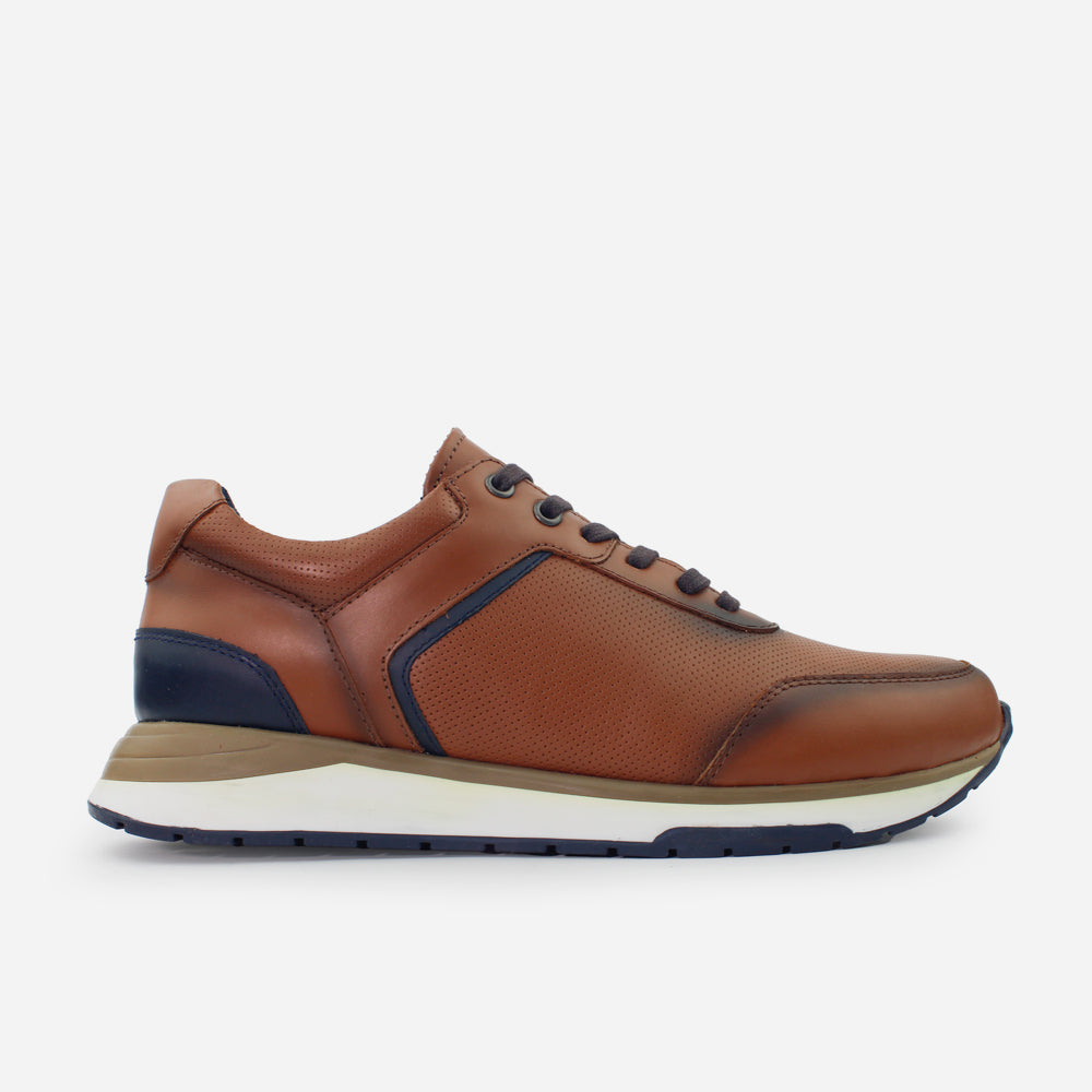 Tenis Sneakers aria de cuero graso para hombre - Miel