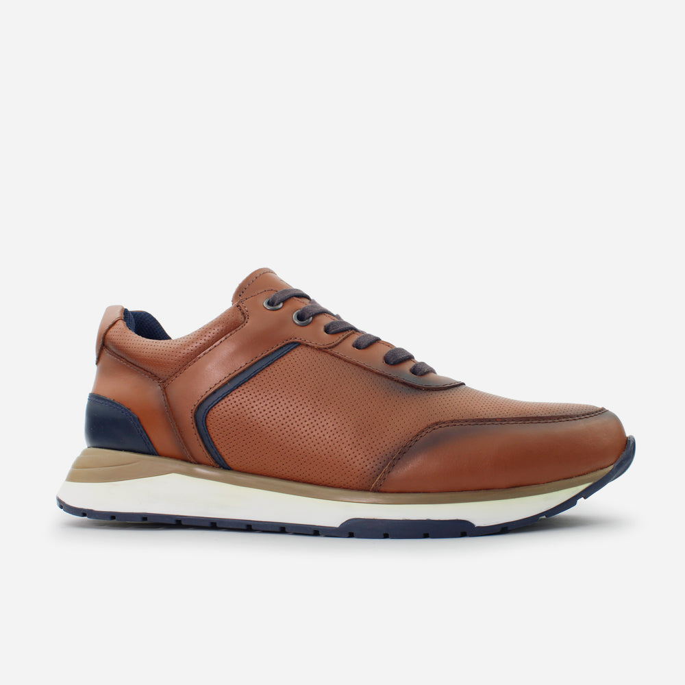 Tenis Sneakers aria de cuero graso para hombre - Miel