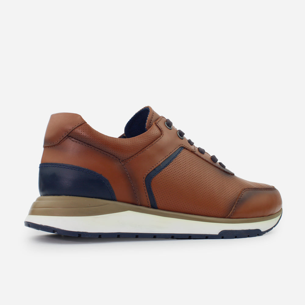 Tenis Sneakers aria de cuero graso para hombre - Miel