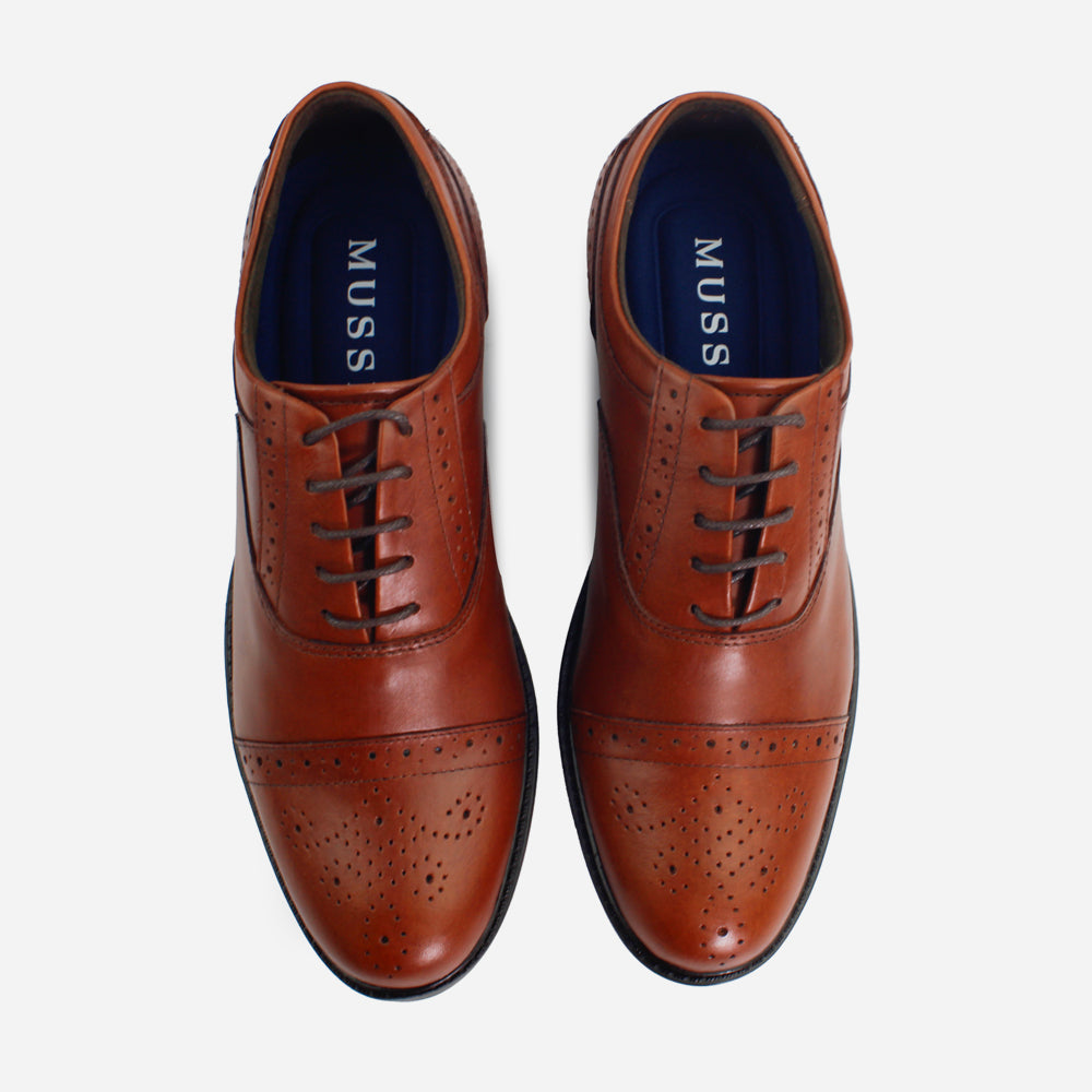 Tenis Oxfords perseo de cuero graso para hombre - Miel